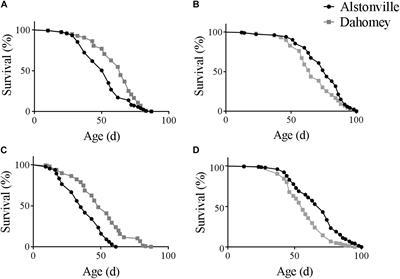 Mitotype Interacts With Diet to Influence Longevity, Fitness, and Mitochondrial Functions in Adult Female Drosophila